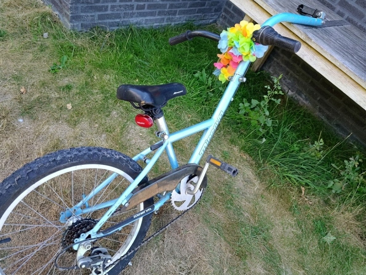 Aanhangfiets Minerva, Vélos & Vélomoteurs, Accessoires vélo | Remorques, Enlèvement, Vélo suiveur