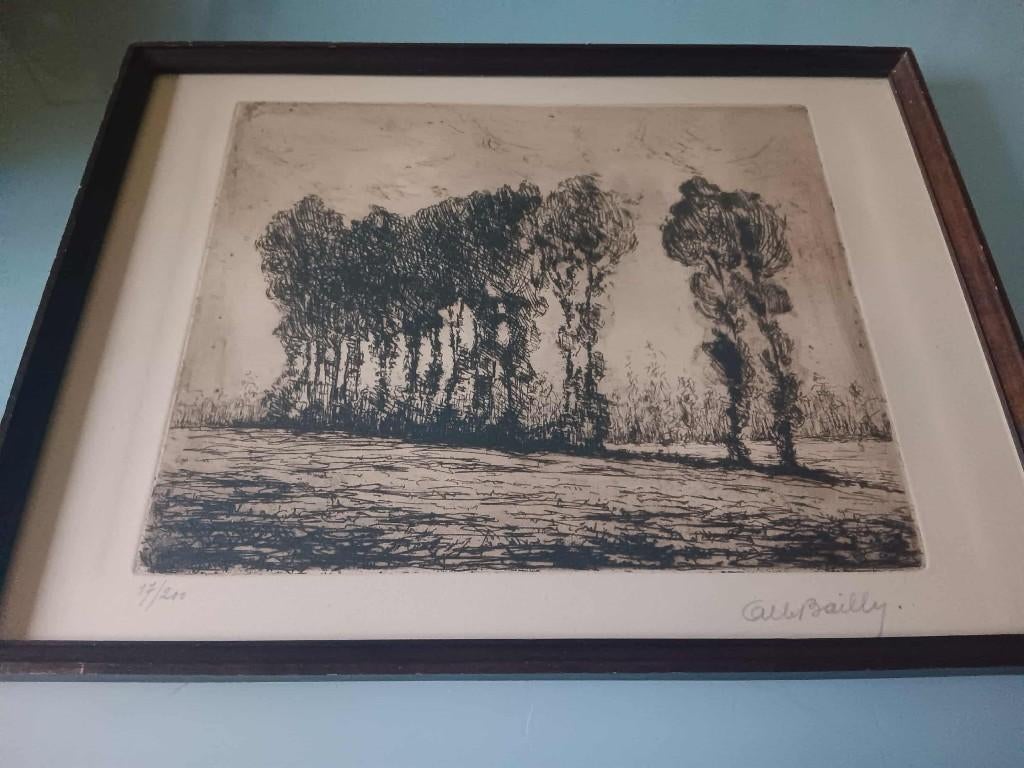 ets Gesigneerd , Albert Bailly, Antiek en Kunst, Kunst | Etsen en Gravures, Ophalen of Verzenden, Ets, Gesigneerd
