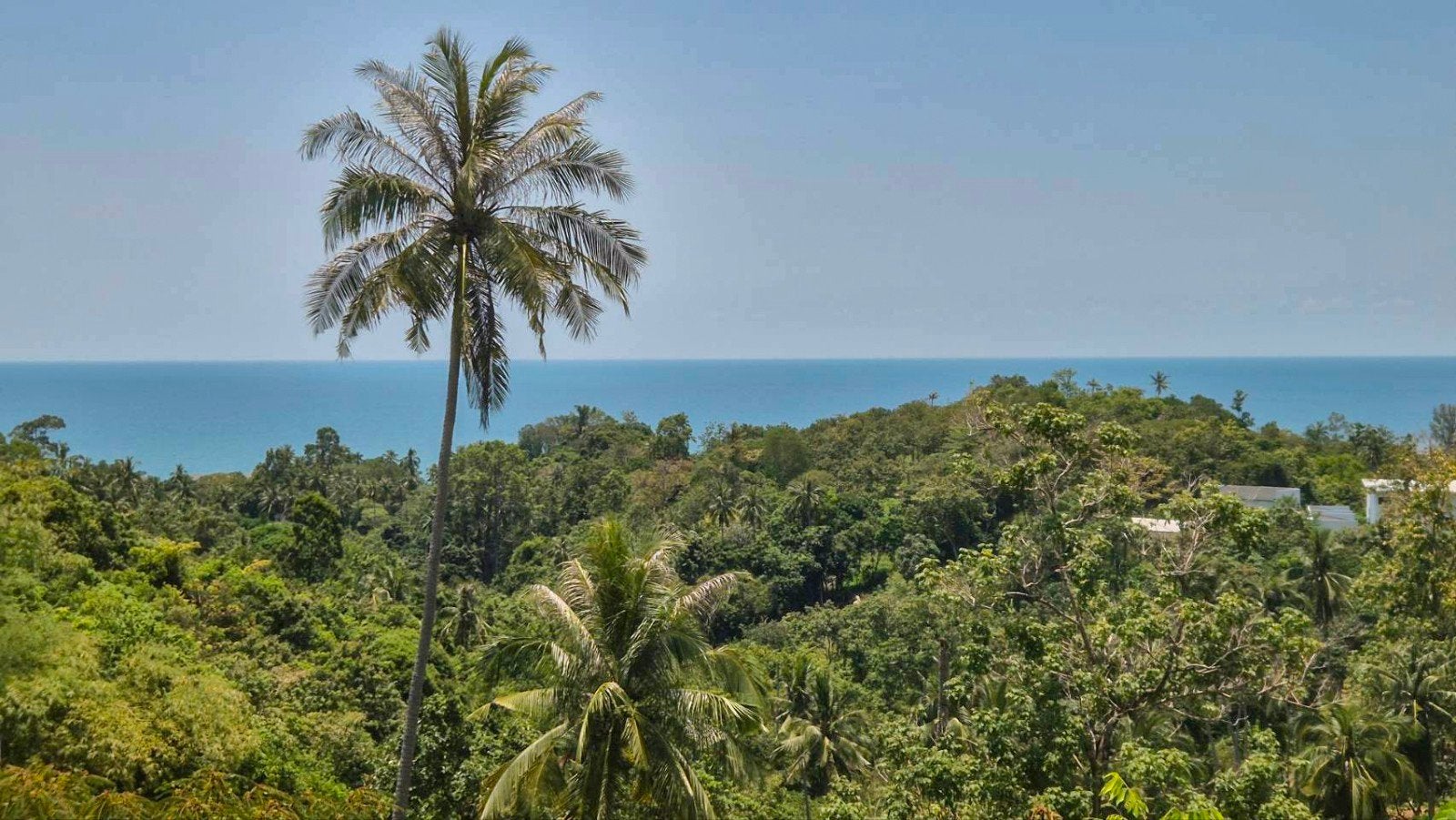 Terrain vue mer constructible Koh Samui Thailande, Lamai