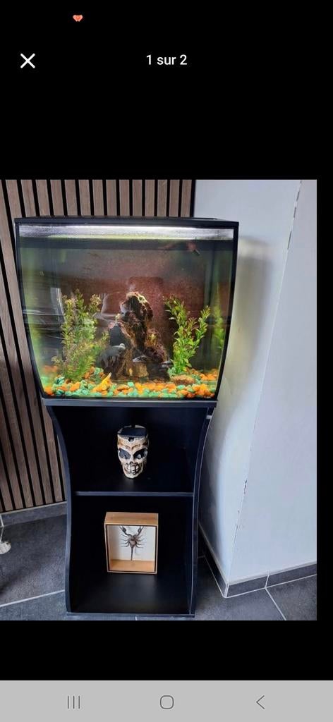 Aquarium et son meuble, Dieren en Toebehoren