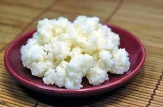 Biologische Melkkefir | probiotica en superieur aan yoghurt, Ophalen