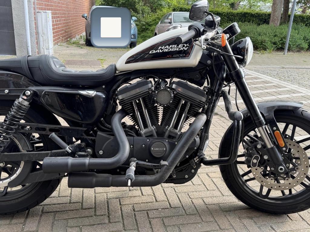 Harley Davidson Roadster, Motoren, Occasion, Bedrijf