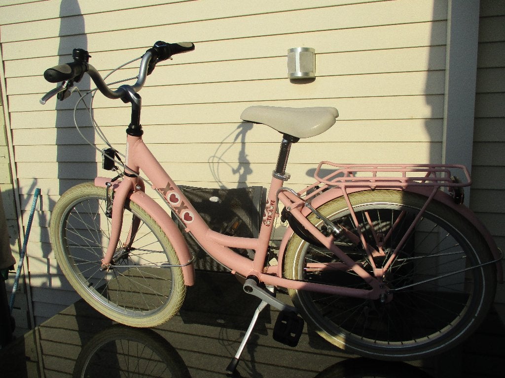 meisjesfiets roze 22", Ophalen, 22 inch, BFK, BIKE FUN KIDS, Velgrem