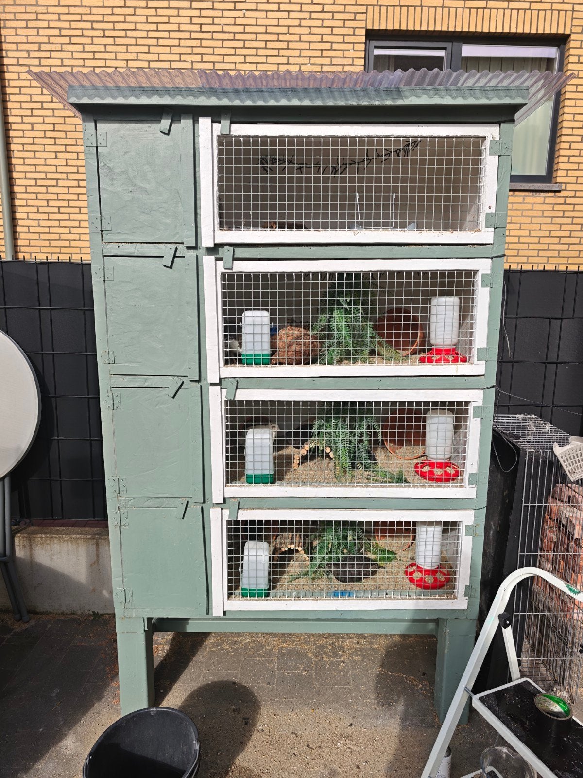 Complete kwartelstarterset – hok, 13 kwartels en accessoires, Dieren en Toebehoren