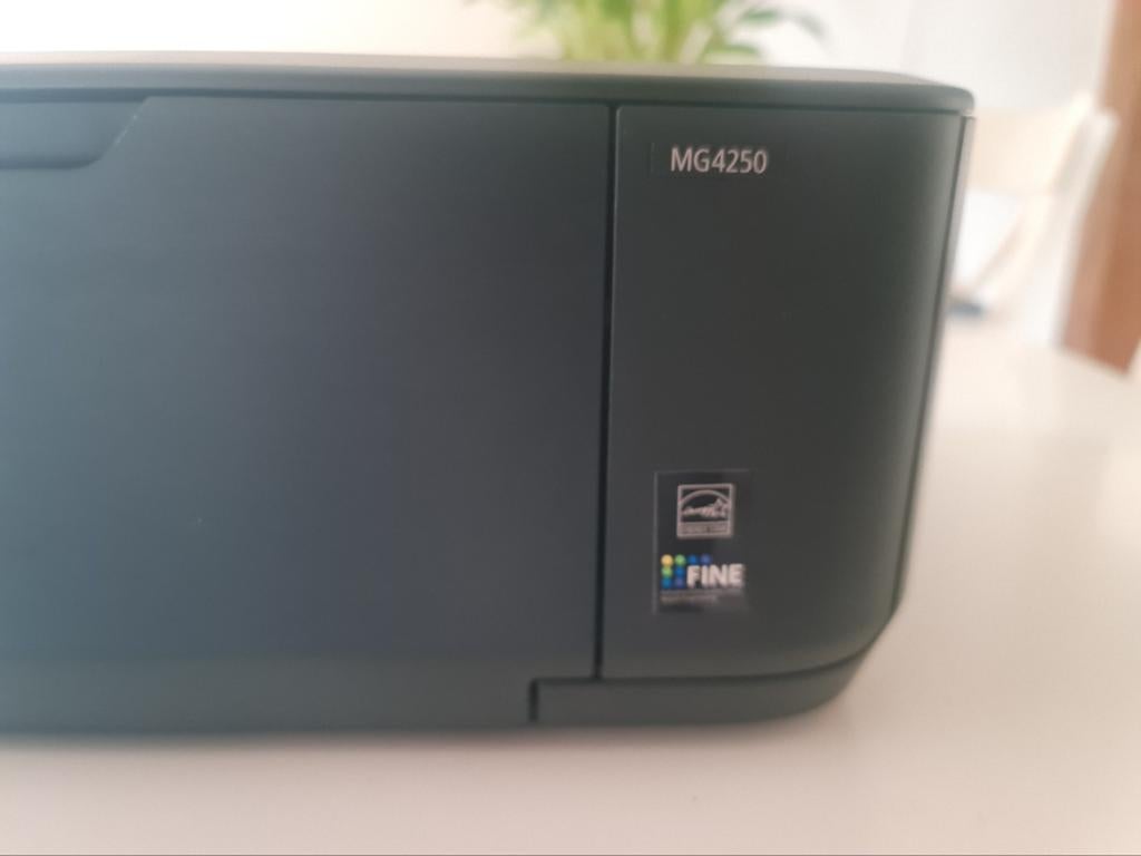 Canon pixma MG4250, Enlèvement