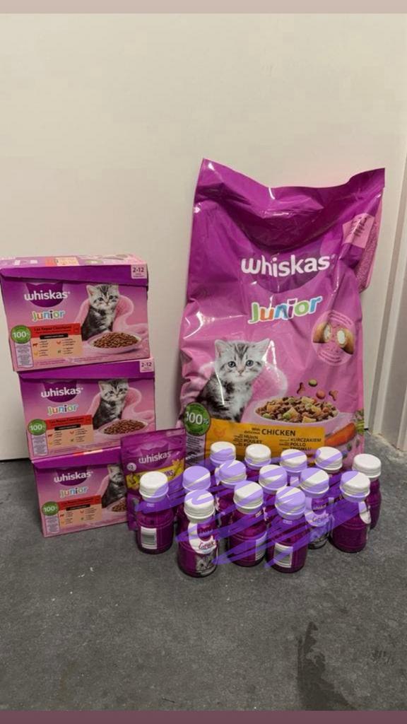 Kitten pakket 2-12 maand, Dieren en Toebehoren, Ophalen