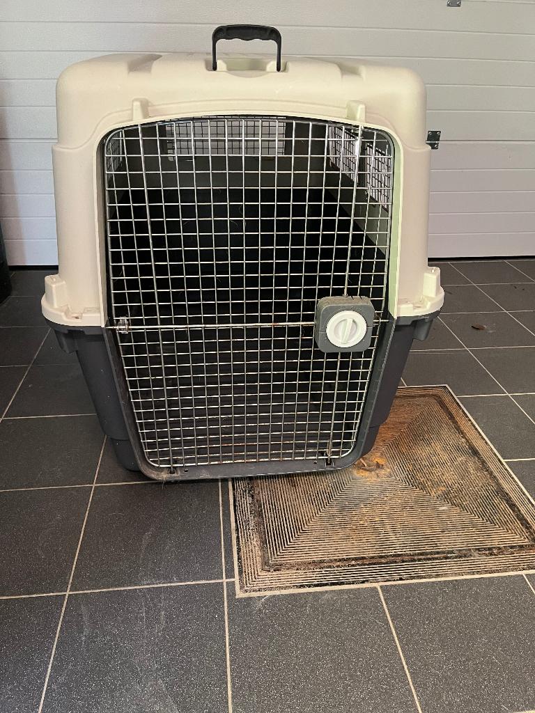 Cage de transport chien XXL, Dieren en Toebehoren, Transportboxen, Nieuw, Ophalen
