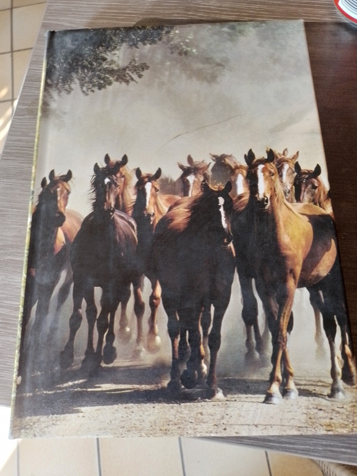 Boek artis historia onze paarden, Boeken, Prentenboeken en Plaatjesalbums, Ophalen of Verzenden