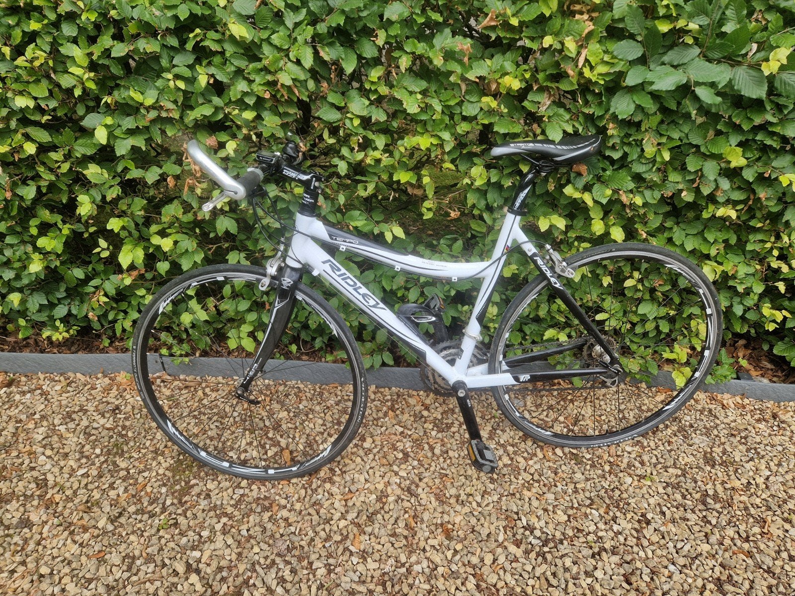 Sportieve damesfiets RIDLEY, Ophalen