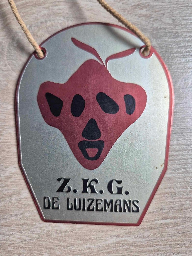 Carnaval medaille Zottegem Z.K.G. De luizemans, Ophalen of Verzenden
