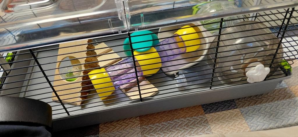 Hamster kooi groot, Ophalen, Kooi, Hamster