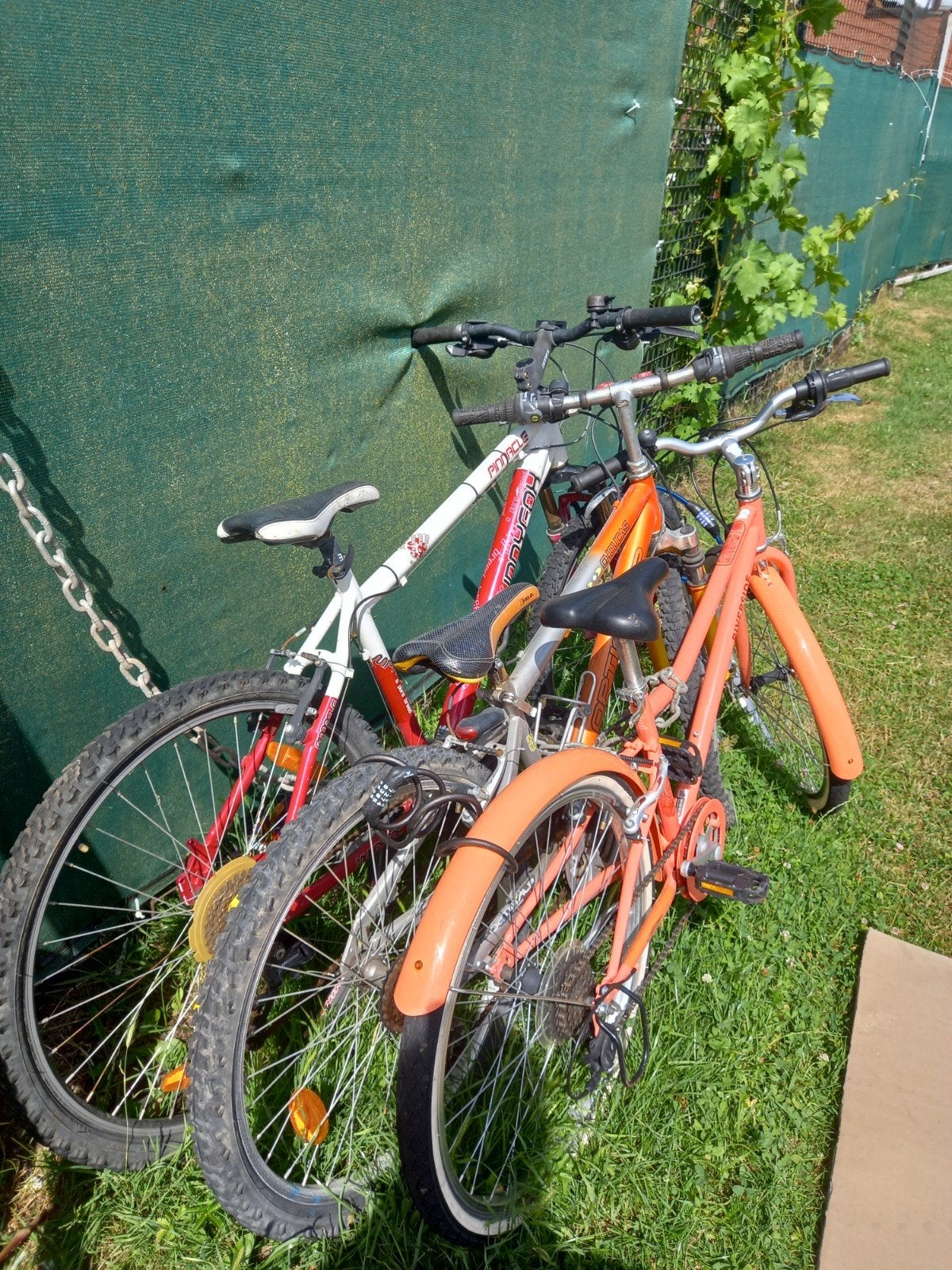 Lot de  vélos  ou vendu  séparément  à  50 eu pièce, Vélos & Vélomoteurs, Enlèvement ou Envoi