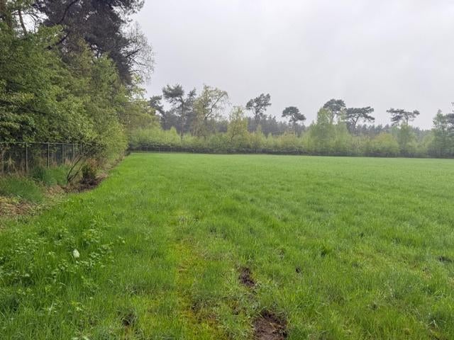 Weide te koop zeer geschikt voor paarden, Immo, Gronden en Bouwgronden, 1500 m² of meer