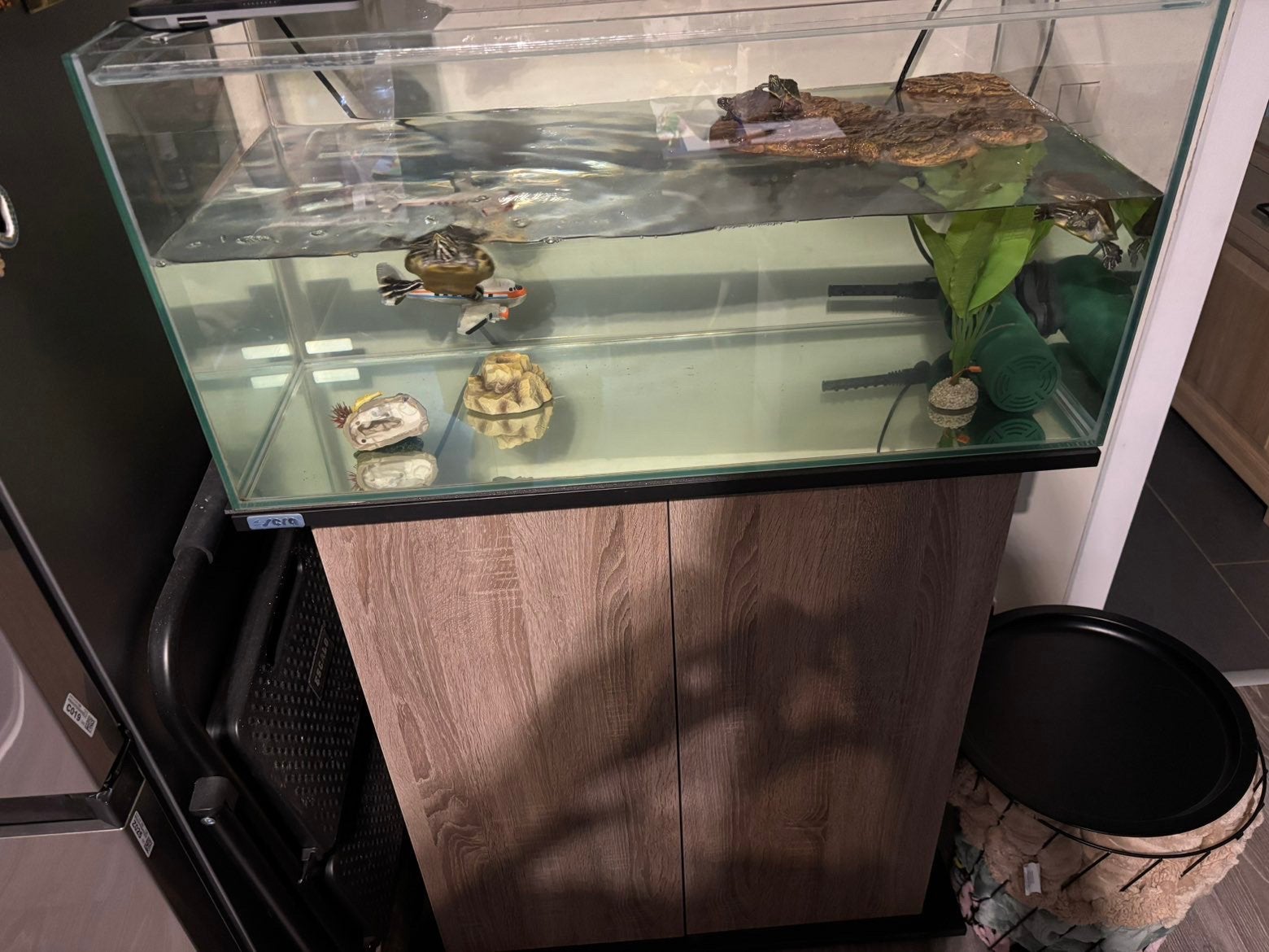 Schildpaddenbak, Dieren en Toebehoren, Vissen | Aquaria en Toebehoren, Zo goed als nieuw, Filter, Ophalen