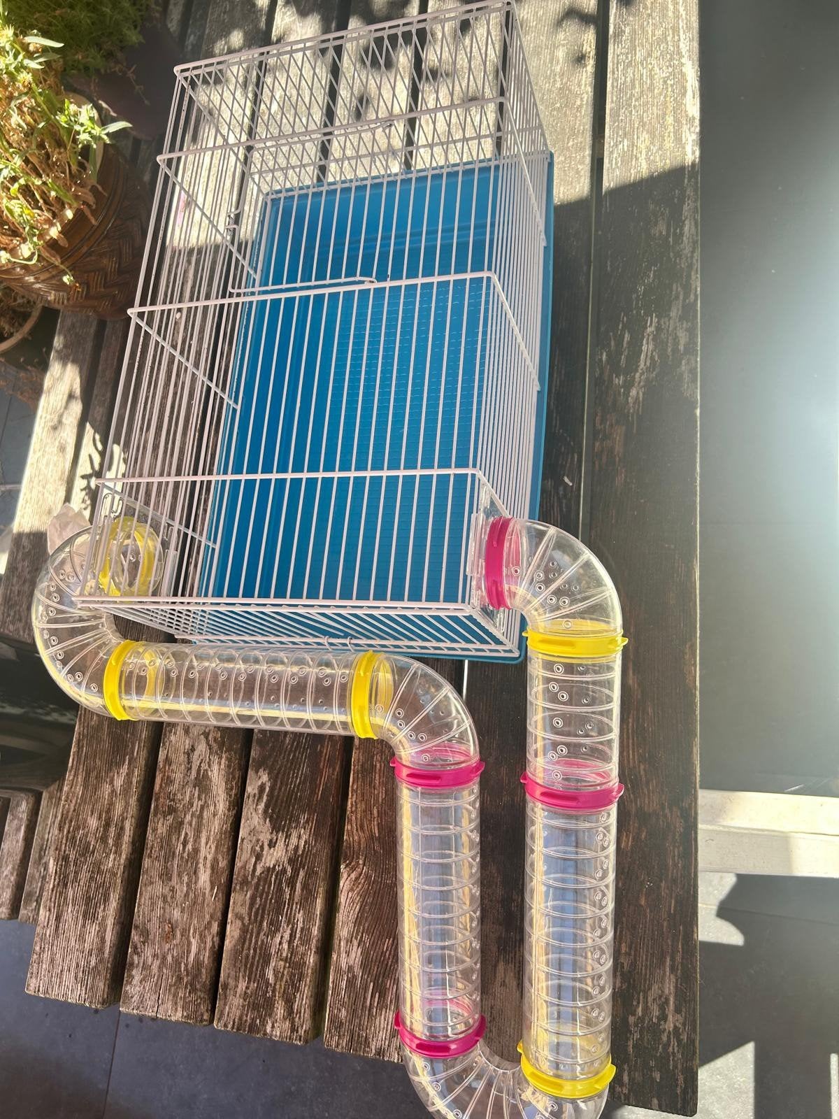 hamsterkooi met buizen, Dieren en Toebehoren, Ophalen, Hamster