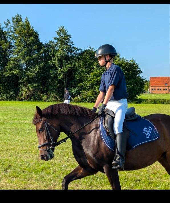 C pony, 1,35m merrie., Dieren en Toebehoren, Paarden, Merrie