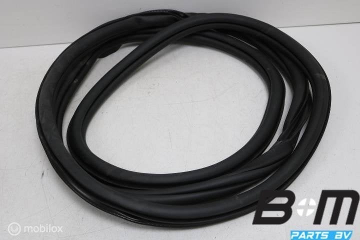 Portierrubber linksachter Vw Passat B8 Variant 3G9867913K, Auto-onderdelen, Interieur en Bekleding, Gebruikt