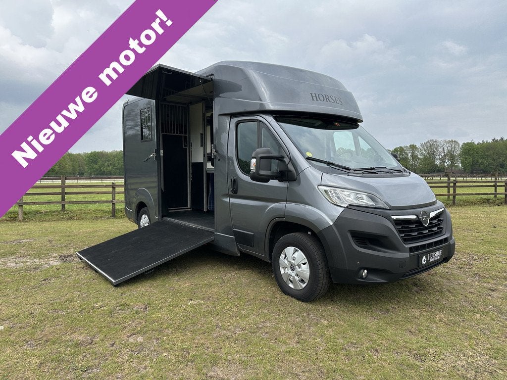 Opel Movano AKX 2-paards paardenvrachtwagen B-rijbewijs 3000, Dieren en Toebehoren, Paarden en Pony's | Trailers en Aanhangwagens