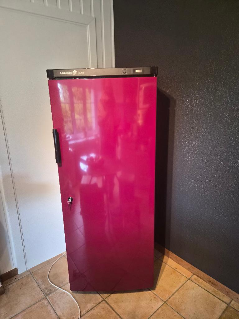Liebherr wijnkoelkast, Elektronische apparatuur, Koelkasten en IJskasten, Ophalen, 200 liter of meer, 60 cm of meer, 160 cm of meer