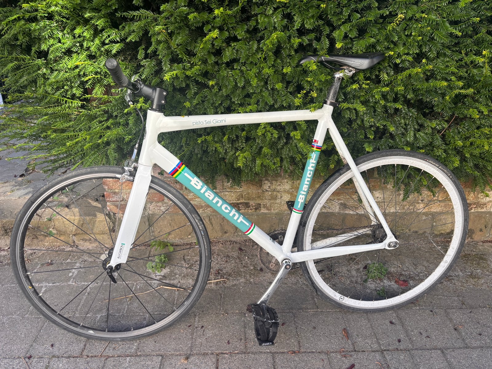 Fixie Bianchi, Vélos & Vélomoteurs, Moins de 10 vitesses, Aluminium, Enlèvement, 28 pouces
