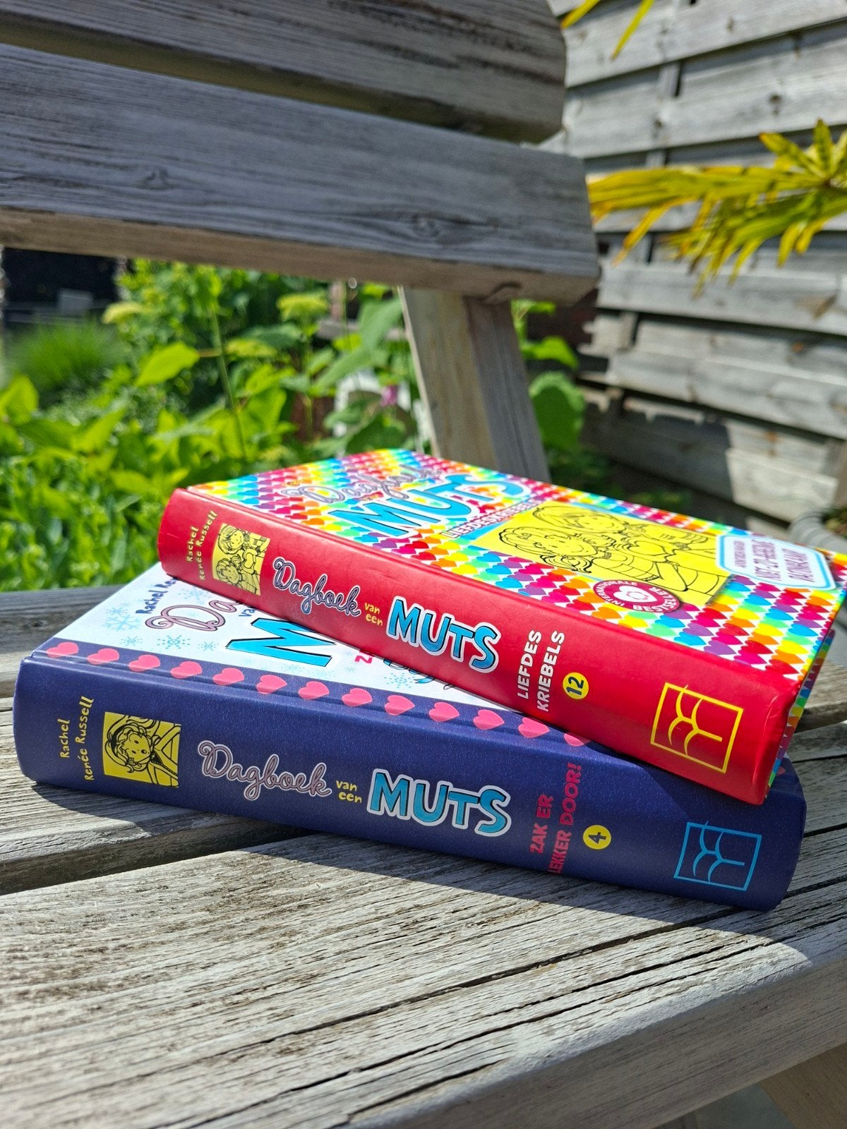 2 boeken Dagboek van een Muts. Nr 4 en Nr 12., Boeken, Ophalen