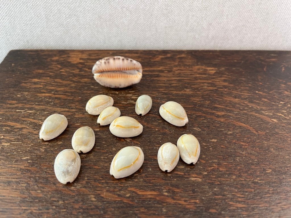 Coquilles de cauris, Enlèvement ou Envoi