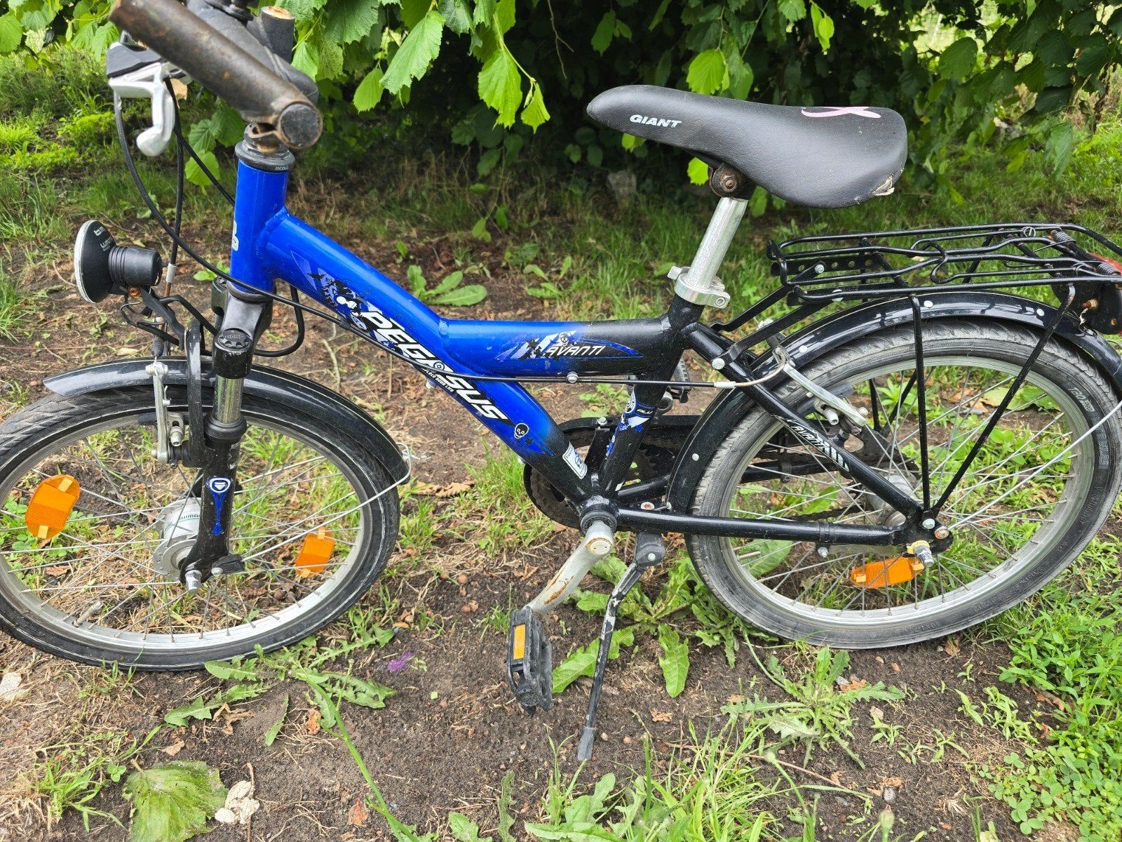 Vélo pegasus 20 pouce, Fietsen en Brommers, Ophalen