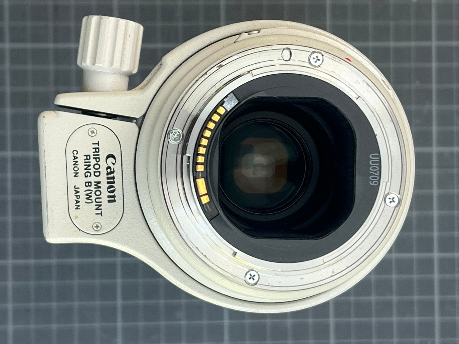 Canon EF 300mm f/4L IS USM, Gebruikt, Canon, Zonnekap, 300 mm