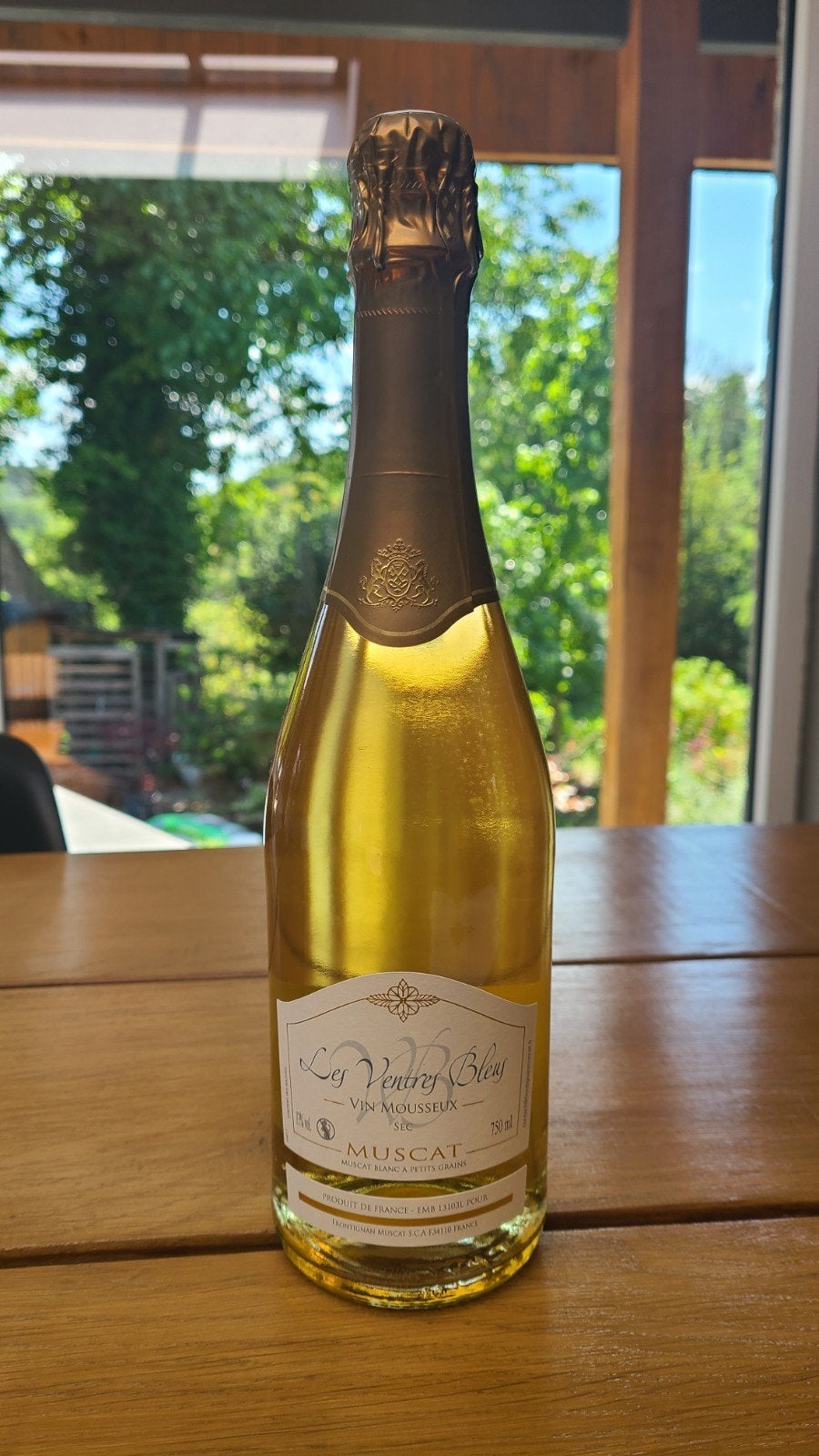 Vin Mousseux Sec Muscat - Les Ventres Bleus - Frontignan, Collections, Vins, Enlèvement