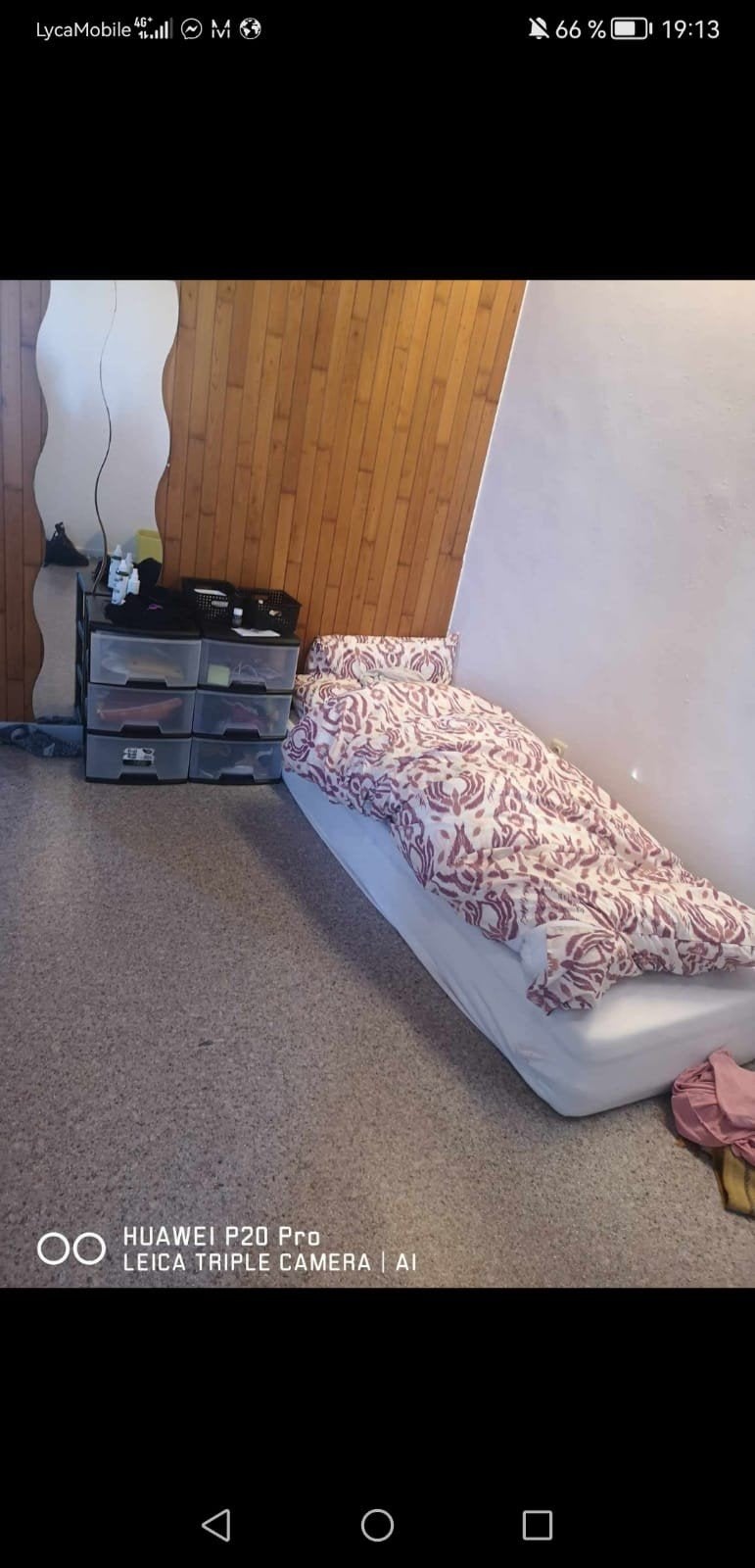 kamer gezocht, Immo