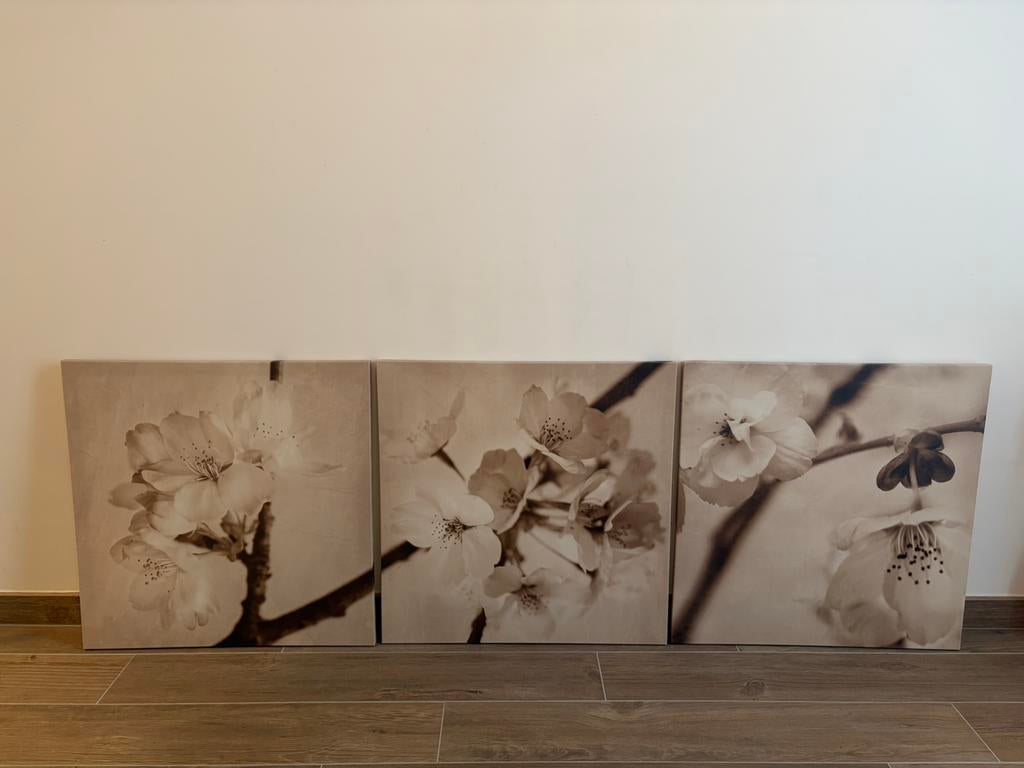 Ikea Pjätteryd Floral 3 canvas 56x56, Enlèvement, Comme neuf, 50 à 75 cm, 50 à 75 cm