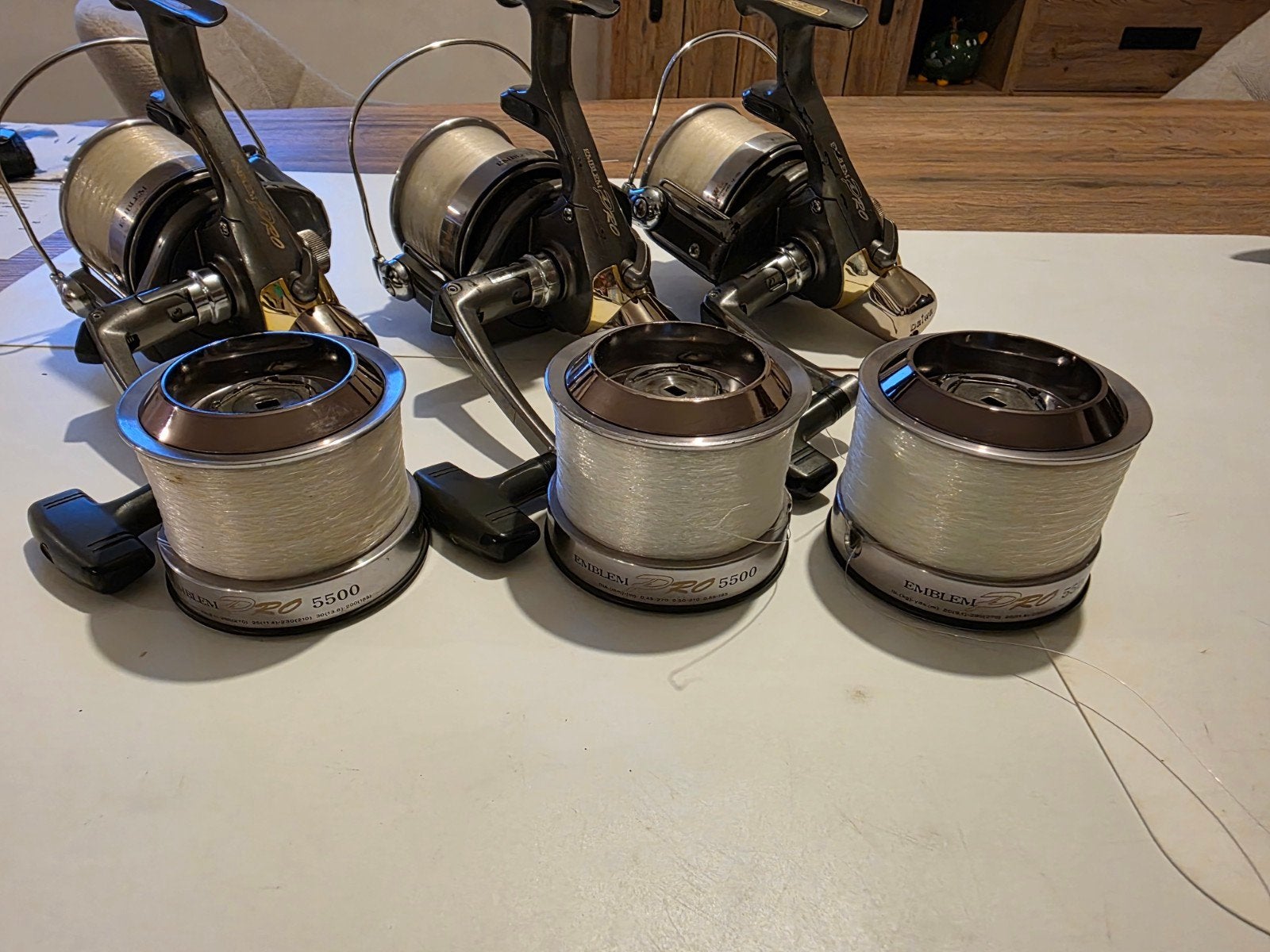 ‼️‼️ Emblème Daiwa Pro ‼️‼️, Enlèvement ou Envoi