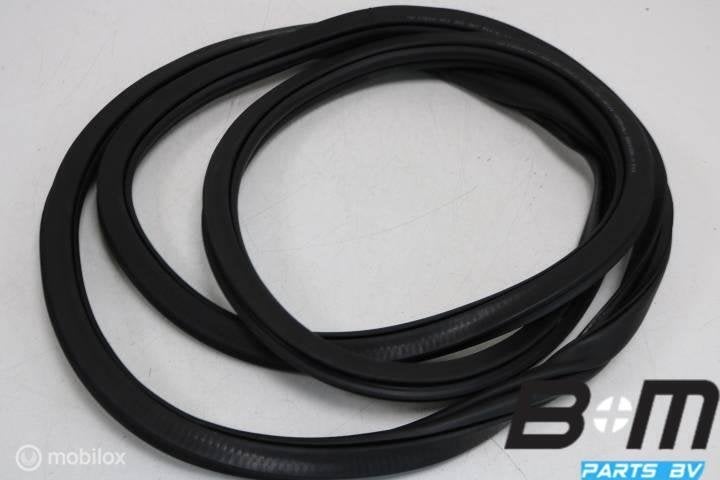 Portierrubber rechtsvoor VW Passat B8 3G0867912K, Utilisé