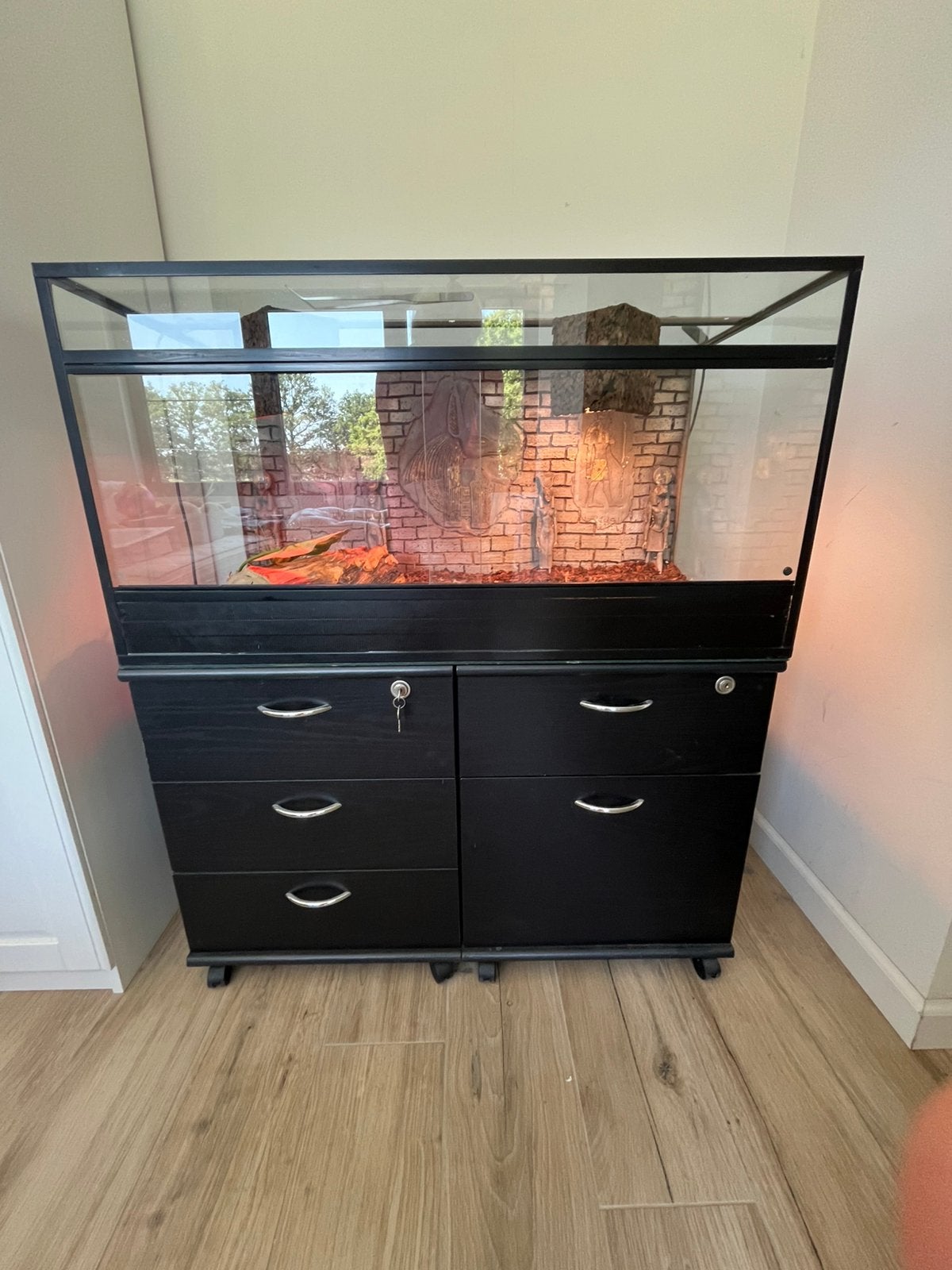 Terrarium reptielen, Dieren en Toebehoren, Ophalen, Gebruikt