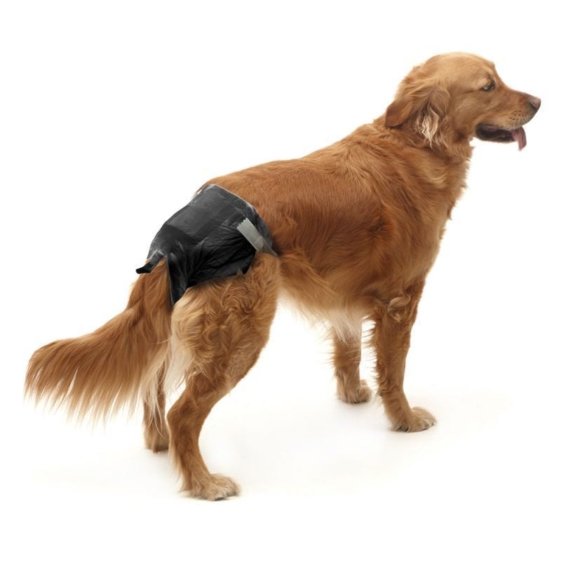 Savic Comfort Nappy maat 6 Zwart,wegwerpluiers / honden, Dieren en Toebehoren, Overige merken, Ophalen of Verzenden, Nieuw, Overige typen