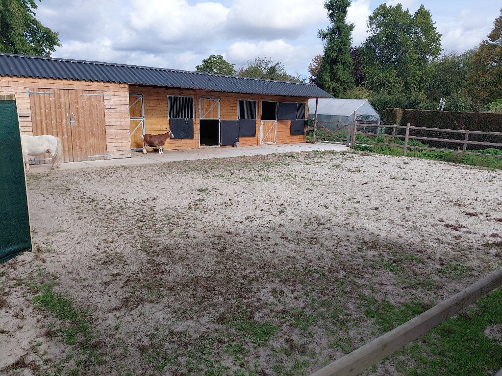 Beschikbaar 1 paardenbox voor de winterperiode, Mise à l'étable, 1 cheval ou poney