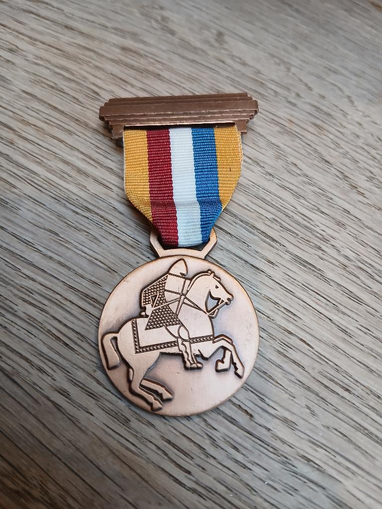 Medaille Diekirch, Envoi, Armée de terre, Ruban, Médaille ou Ailes