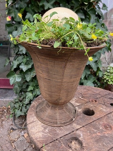 ŒUF D'AUTRUCHE 16 CM SUR 12 CM, Enlèvement ou Envoi, Autres types