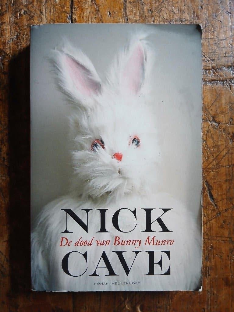 De dood van Bunny Munro - Nick Cave, Boeken, Ophalen of Verzenden
