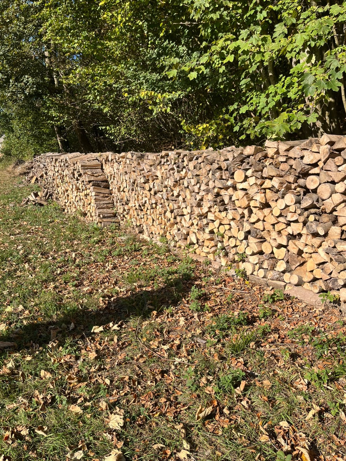 Bois de chauffage de qualité sec, Jardin & Terrasse, Enlèvement