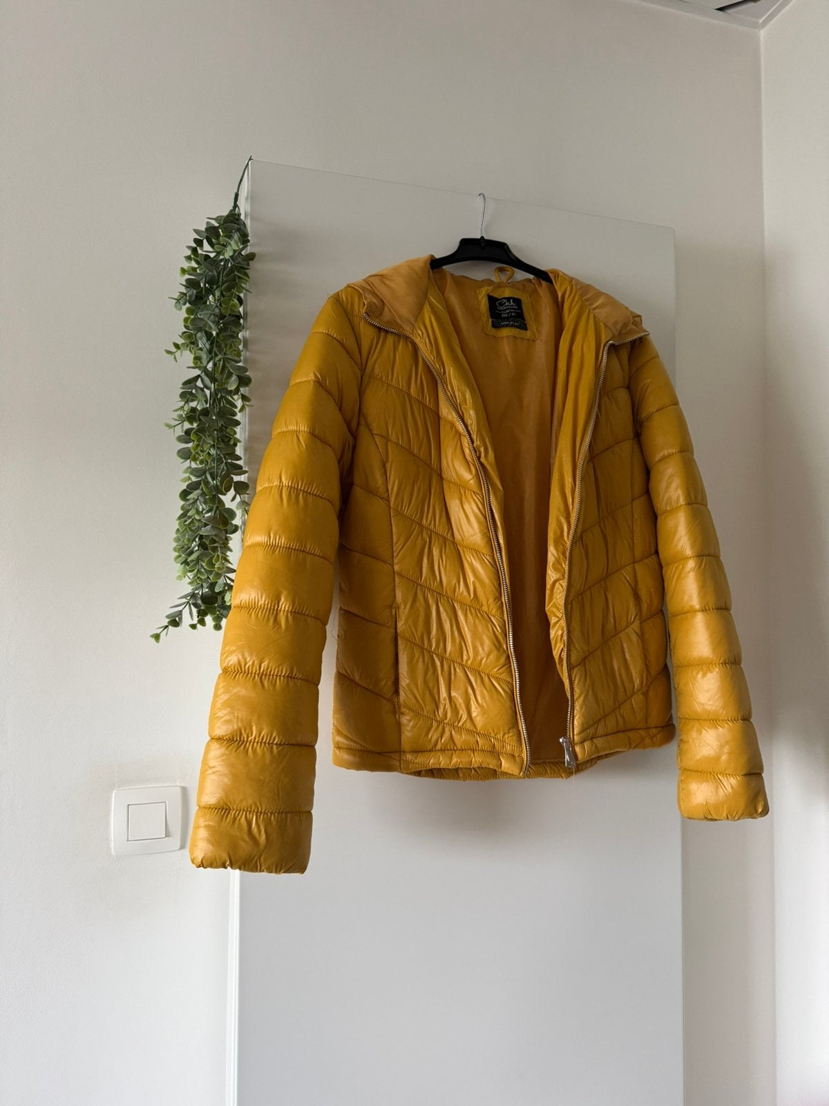 Veste avec capuche pour dames, Ophalen, Zo goed als nieuw, Maat 38/40 (M), Overige kleuren
