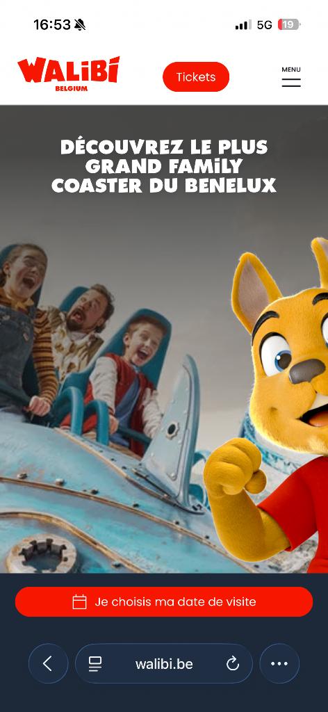 Ticket walibi, Enlèvement ou Envoi, Neuf