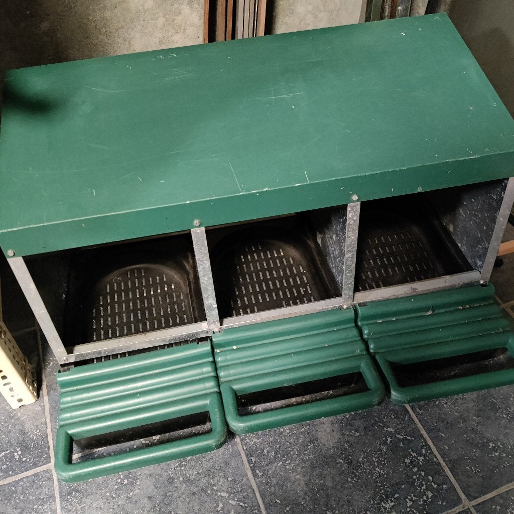 Legbak kippen, Dieren en Toebehoren, Pluimvee, Kip