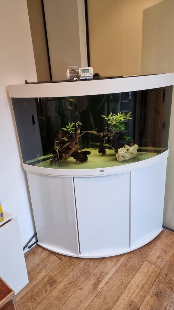 Aquarium 350l trigon led fluval fx4, Dieren en Toebehoren, Ophalen, Gebruikt, Gevuld zoetwateraquarium