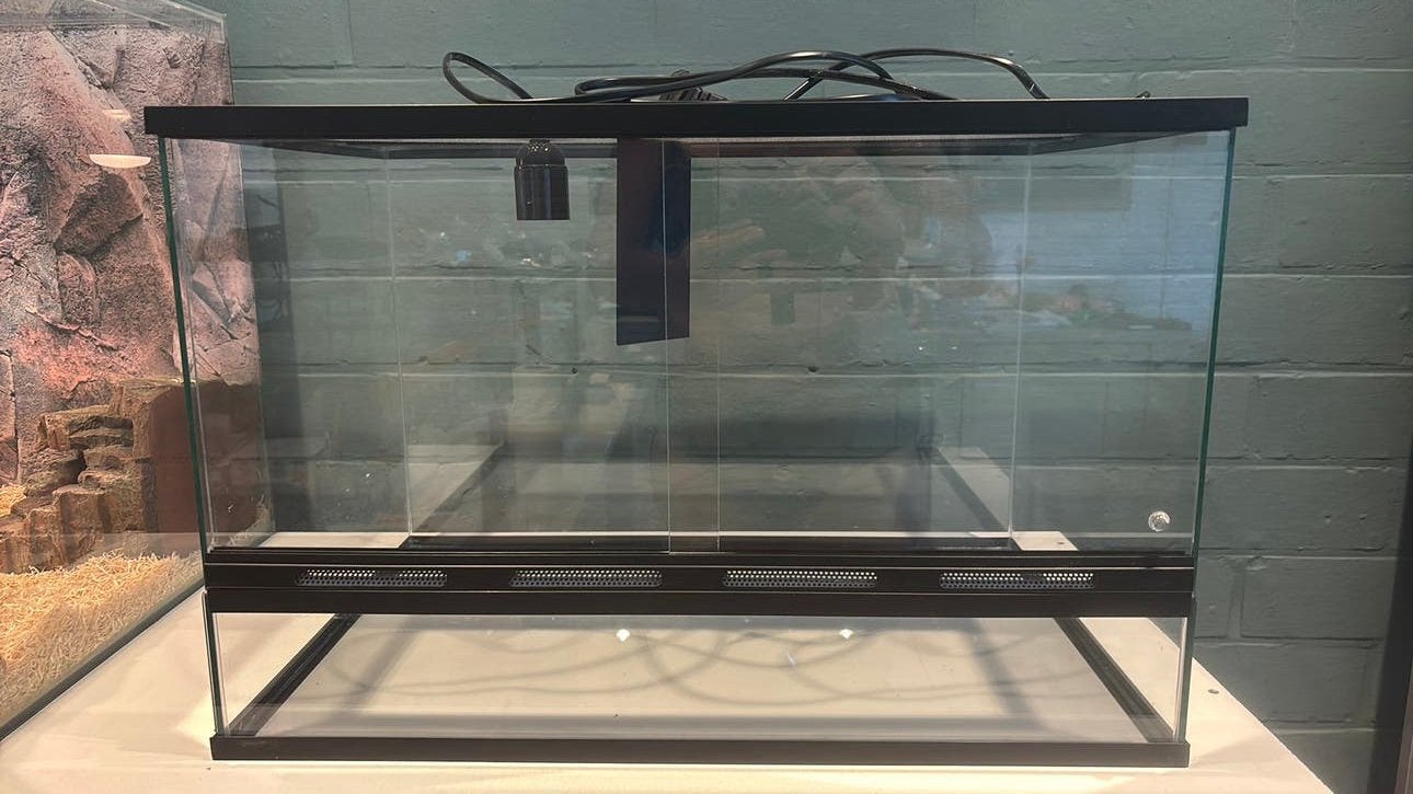 Terrarium glas 60x40x40cm, Animaux & Accessoires, Reptiles & Amphibiens | Accessoires, Enlèvement, Comme neuf, Terrarium ou Paludarium