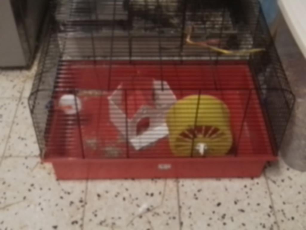Klein hamsterkooi, Ophalen of Verzenden, Kooi, Hamster