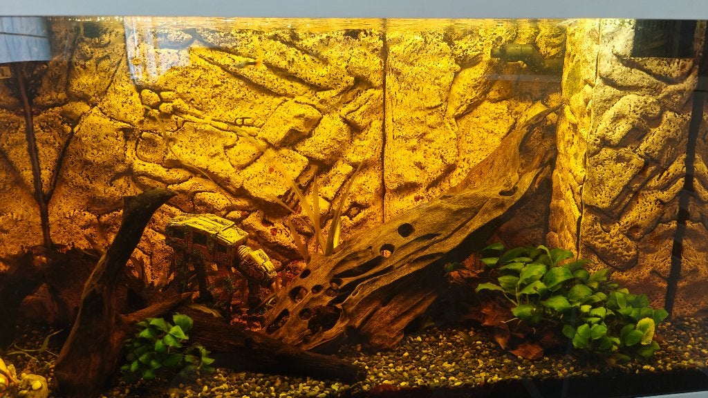 Juwel Rio 125 met onderkast, toebehoren en enkele vissen, Animaux & Accessoires, Poissons | Aquariums & Accessoires, Enlèvement