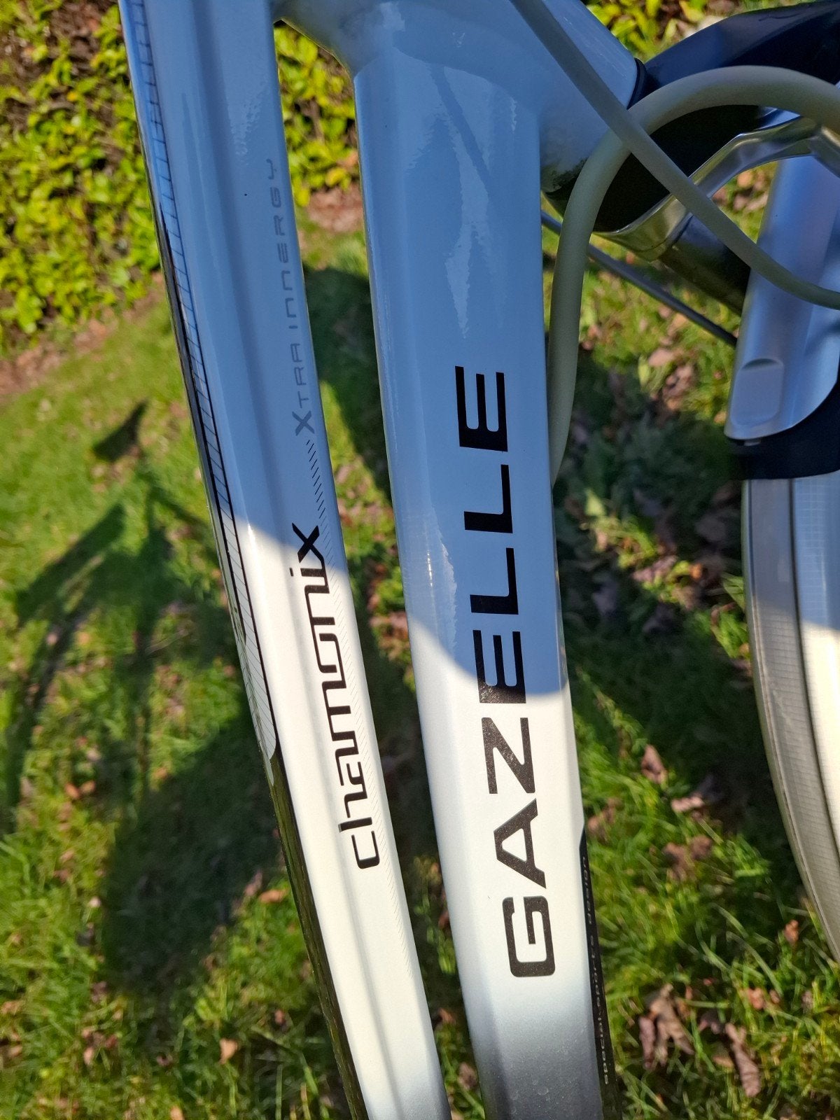 Gazelle Chamonix Elektrische Fiets – Framemaat 54 cm – €550, Ophalen of Verzenden, Gazelle
