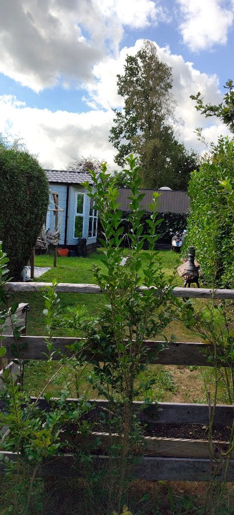 mobil-home à vendre rcn zeewolde, Jusqu'à 6