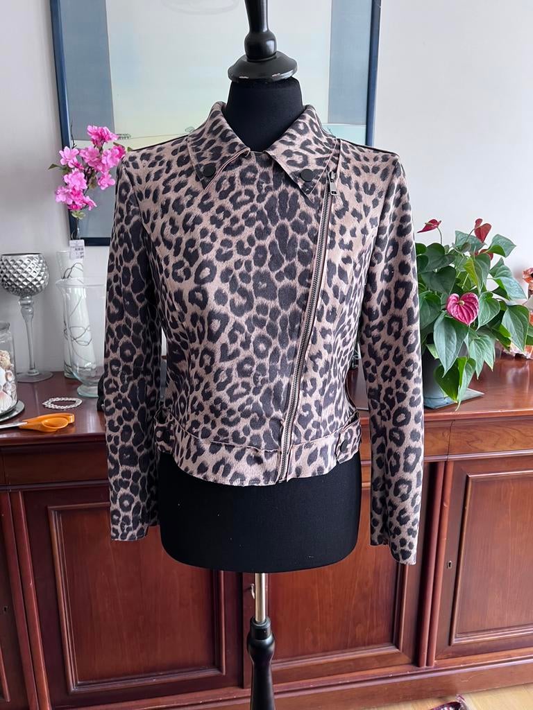 Perfecto, Kleding | Dames, Jasjes, Kostuums en Pakken, Ophalen of Verzenden, Nieuw